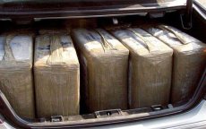 Frankrijk: Canadese man met 242 kilo cannabis uit Marokko gepakt