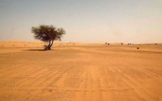 Sahrawi uit Tindouf sterft van dorst onderweg naar Marokko