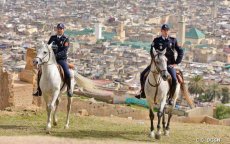 Marokko: celstraf voor Brit die ambtenaar beledigde