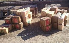 Polisario betrokken bij grootschalig drugshandel