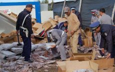 Marokko: 12,8 ton drugs in beslag genomen in Nador
