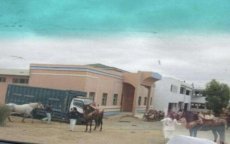 Marokko: school wordt paardenstal voor festival