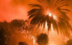 Hittegolf in Marokko: 4000 palm- en olijfbomen door brand verwoest