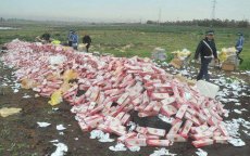 Marokko: grote hoeveelheid drugs vernietigd in Dakhla