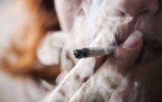Marokko: bekendste drugsdealster Sidi Slimane opgepakt