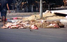Eid ul-Adha: ruim 7000 ton afval in straten Tanger