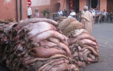 Schapenhuiden Eid ul-Adha zijn business op zich