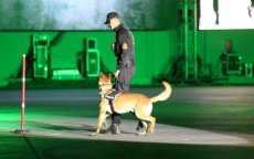 Verenigde Staten vol lof over Marokkaanse politiehonden