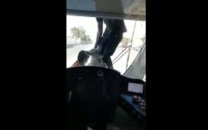 Marokko: kinderen hangen met hond aan tram (video)