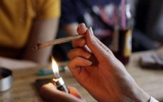 Marokko: legalisering cannabis opnieuw op tafel