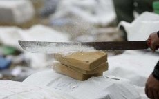 Al Hoceima : 1,5 miljoen dirham boete voor cocaïnehandel