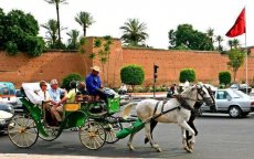 Marokko: nieuwe look voor koetsiers Marrakech