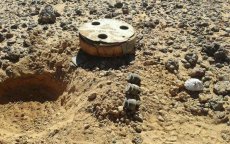 Marokkaanse Sahara: leger maakt 96.000 mijnen onschadelijk