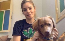 Marokko: door verloofde achtergelaten Italiaanse weigert zonder hond te vertrekken