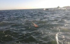 Marokkanen proberen van Sebta naar Marokko te zwemmen