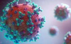 Marokkaans team ontcijfert genoom coronavirus
