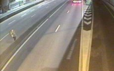 Nabil ging op een Franse snelweg liggen en werd doodgereden