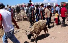 Marokkaanse regering: "Blijf thuis tijdens Eid ul-Adha
