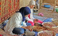 Marokkaanse arganboom te sterk voor Israëlische concurrentie