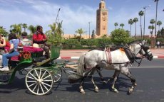 Marrakesh in race voor beste vakantiebestemming 2020