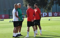 Vahid Halilhodzic eist meer inspanningen van de Atlas Leeuwen