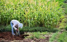 Mohammed VI maakt prioriteit van collectief grond en plattelandsontwikkeling