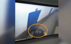 Marokko: beelden aanval bewaker door terreurverdachte (video)