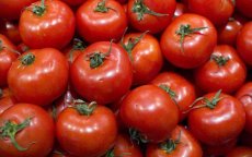 Rusland weigert Marokkaanse tomaat