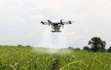 Landbouwsector Marokko maakt steeds meer gebruik van drones