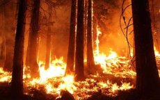 Enorme brand aan Marokkaans-Algerijnse grens