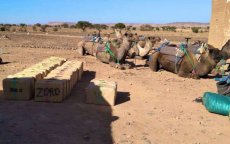 Drugstransport met kamelen aangehouden bij Algerijnse grens