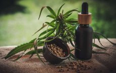 Cosmetica op basis van cannabis, een nog onbekende business opportunity in Marokko