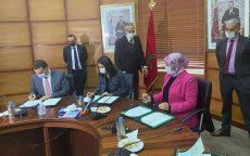 Marokko betrekt diaspora bij de ontwikkeling van coöperaties