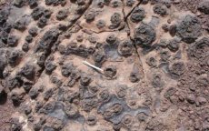 Ontdekking door NASA begeerde microben in Marokko