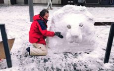 Dakloze Marokkaan trekt aandacht met sneeuwleeuw in Brussel