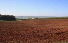 Marokkaanse Staat bezit 1 miljoen hectare grond 