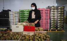 Marokkaanse Azahara Arif verovert Spaanse groentesector