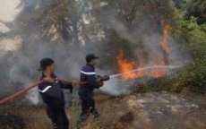 Brand verwoest 5500m² bos in Rabat 