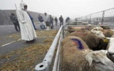 Eid Al Adha gevierd op 26 oktober in België 