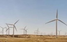 Franse GDF Suez bouwt reuze windpark in Tarfaya 