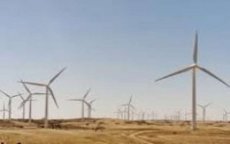 Franse GDF Suez bouwt reuze windpark in Tarfaya 