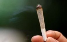 Marokko is hasj paradijs volgens Algerije