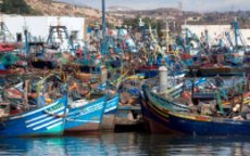 Visserij in Marokko brengt 4 miljard op