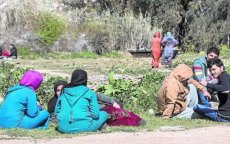 Syrische vluchtelingen Spanje binnen met valse Marokkaanse paspoorten