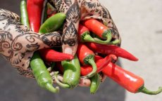 Economie Marokko groeit met 4,3% in 2013