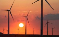 Marokko opent grootste windpark in Afrika