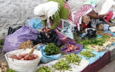 In Marokko maakt microkrediet armer op middellange termijn
