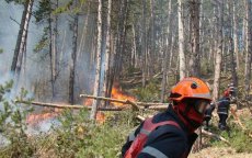 Hezmar bos in Tetouan verwoest door brand