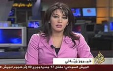 Al Jazeera krijgt toestemming om referendum te dekken