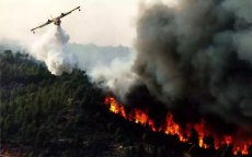 Grote bosbrand verwoest 290 hectare in Tetouan